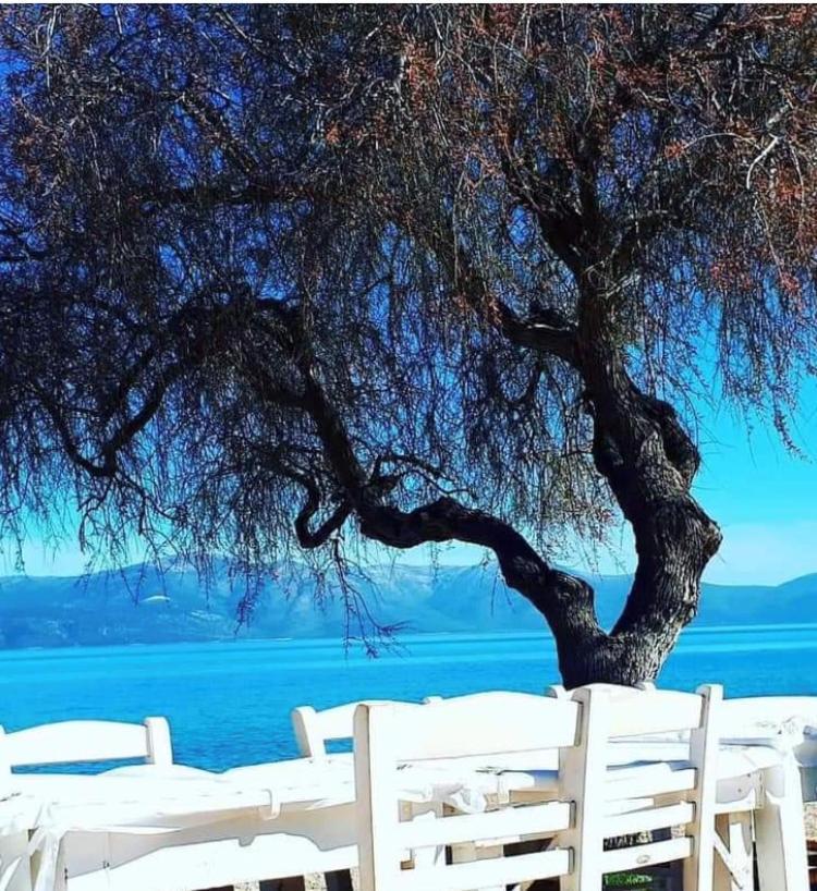 Eratous Seaside House Villa Agii Dimitrios ke Panteleimon Eksteriør bilde