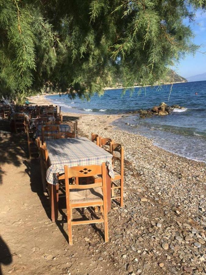 Eratous Seaside House Villa Agii Dimitrios ke Panteleimon Eksteriør bilde