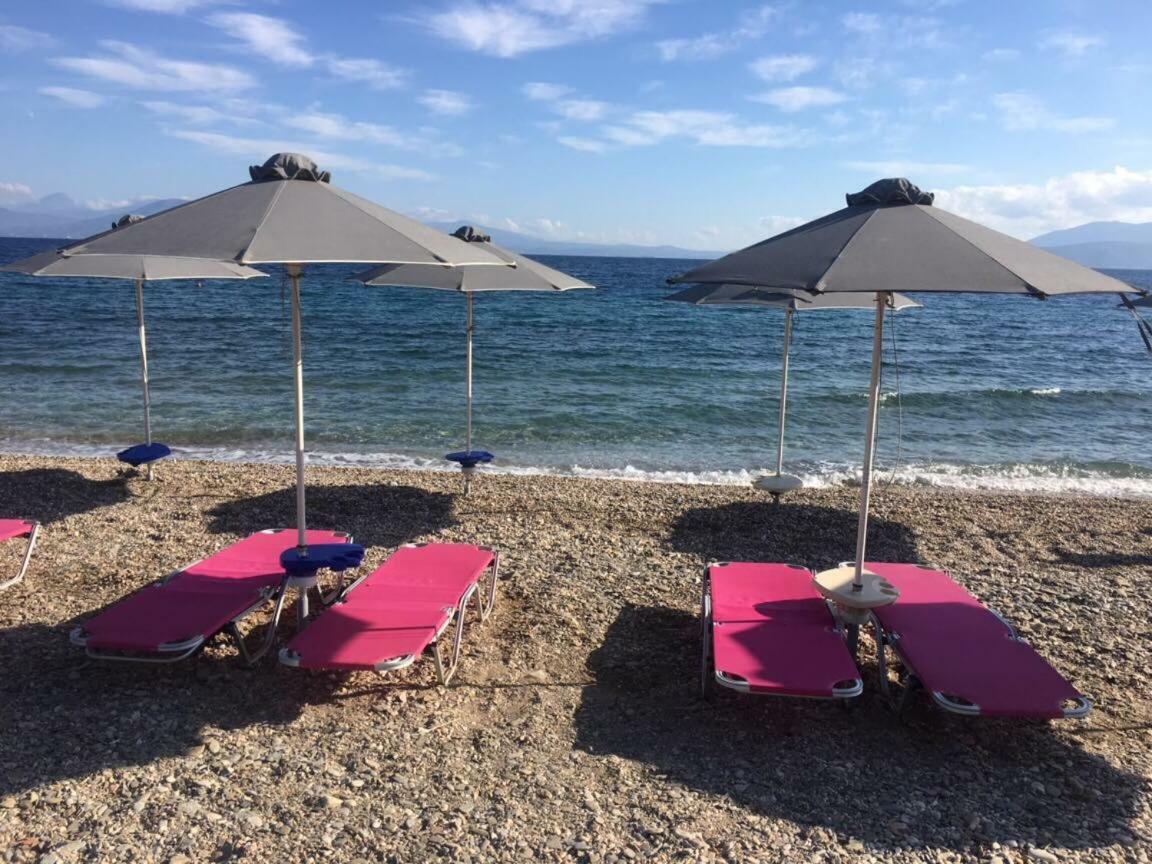 Eratous Seaside House Villa Agii Dimitrios ke Panteleimon Eksteriør bilde