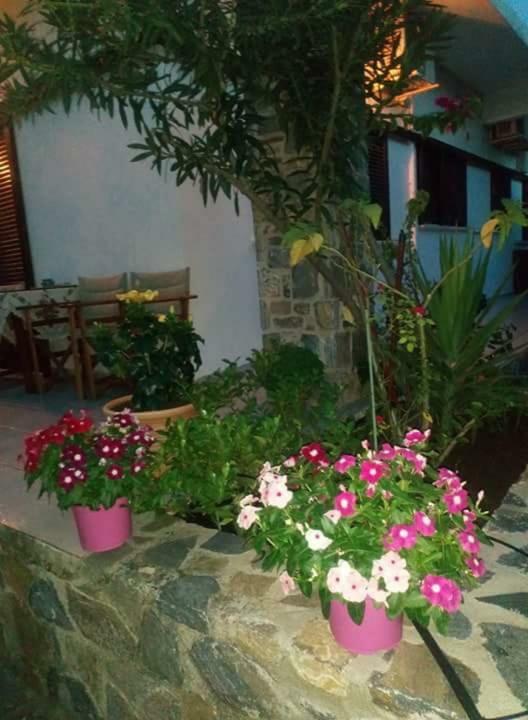 Eratous Seaside House Villa Agii Dimitrios ke Panteleimon Eksteriør bilde