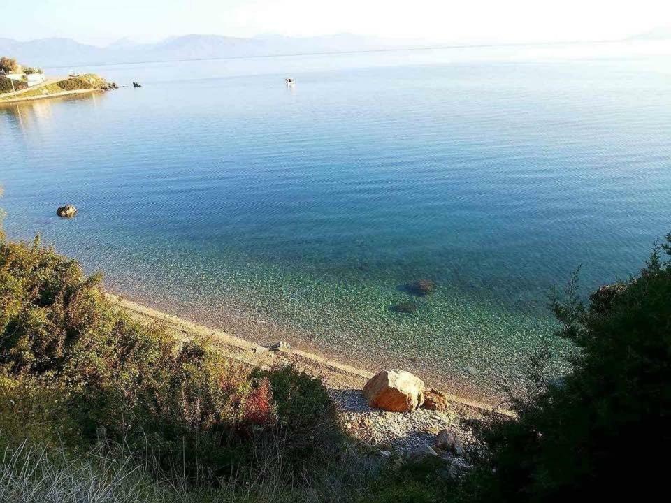 Eratous Seaside House Villa Agii Dimitrios ke Panteleimon Eksteriør bilde