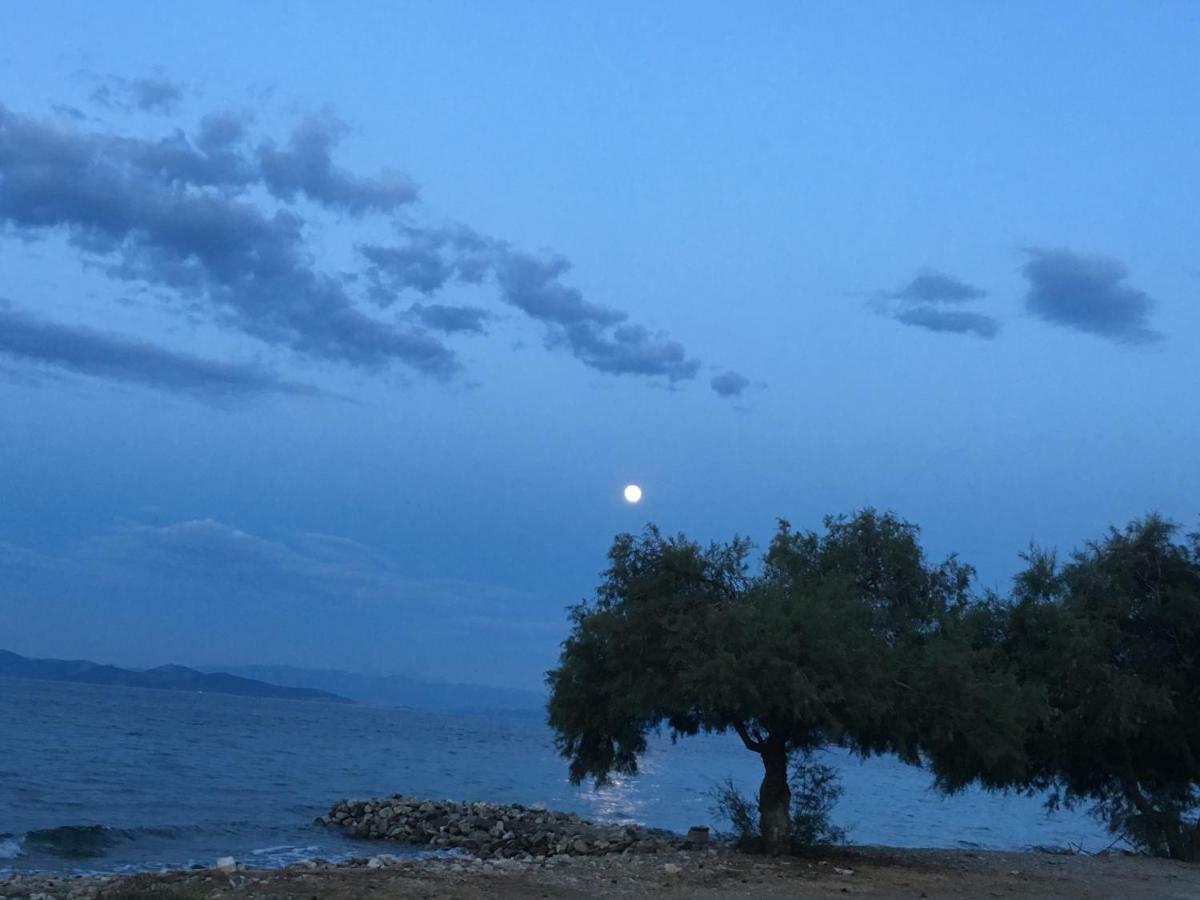 Eratous Seaside House Villa Agii Dimitrios ke Panteleimon Eksteriør bilde